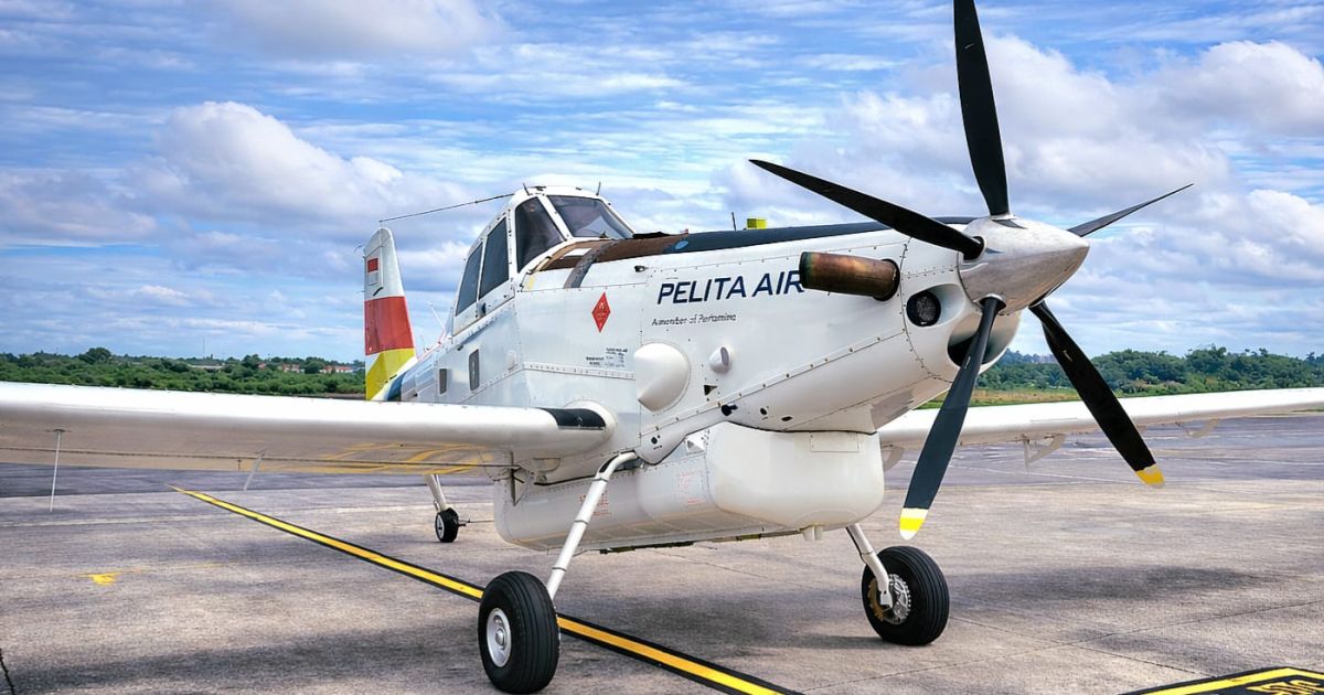 Ilustration (Photo/doc./Pelita Air)